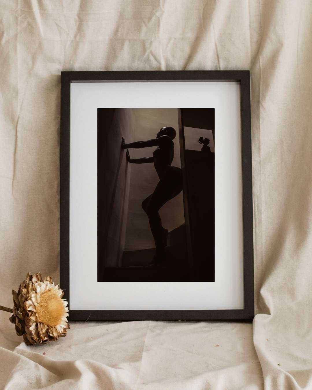 Exquisite Shadow Play Fine Art Print – PivotPixie in Playa Del Carmen
