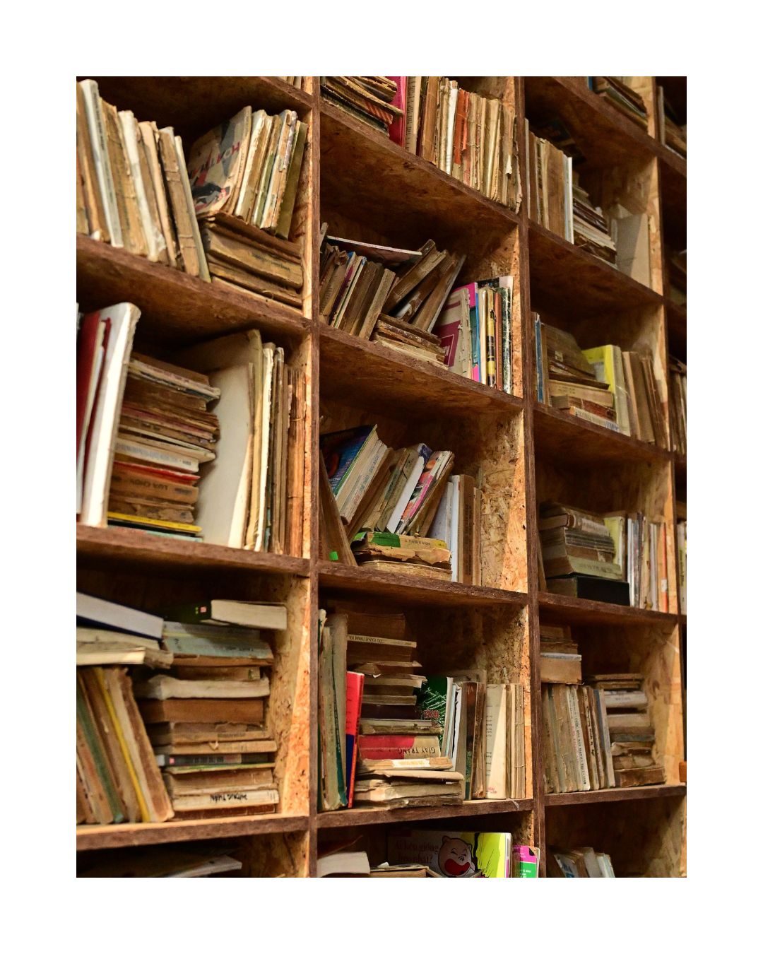 Books & Magazines